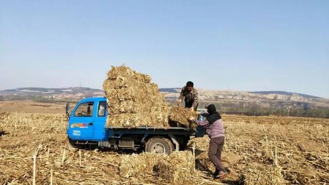 平舆县秸秆回收行业动态
