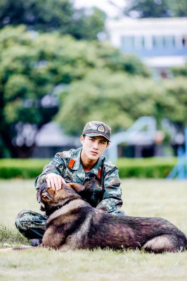 求教官开小灶加训昆龙,湖南卫视《奇兵神犬》姜潮与犬动情对话再