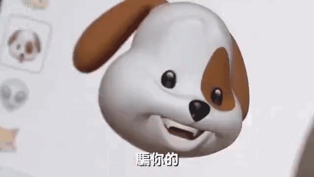 再来个打喷嚏的熊猫