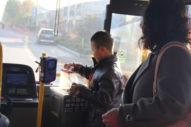 赵县:社会实践让特教孩子尽早融入社会_手机搜狐网