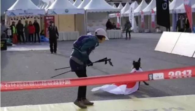 日本選手越野衝線,披的日本國旗,被中華犬扯走了!