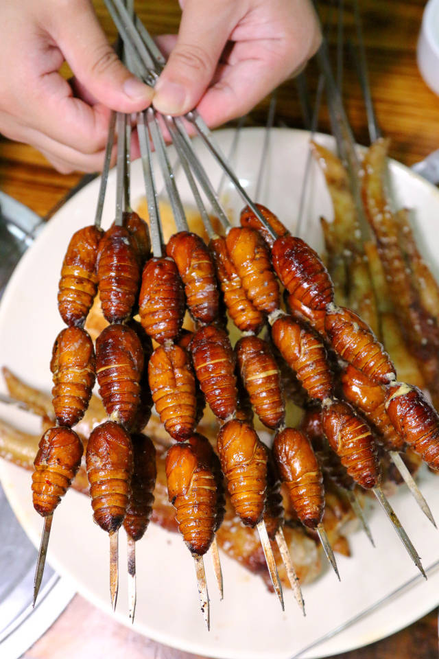 蝉蛹的进化版:知了, 据说对男同胞的滋补功效更胜一筹哦