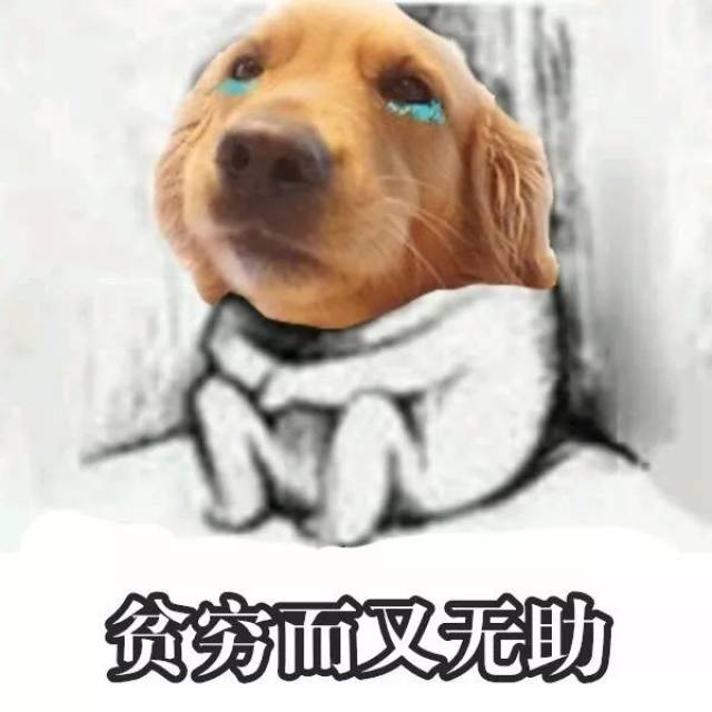 过了双十一,有网友给大家做了组困难群众表情包!
