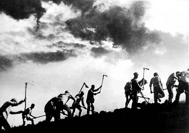 江南初冬,挥锄垦荒种菜了