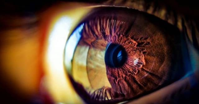 科学家用胚胎干细胞治疗常见的盲眼症_手机搜狐网