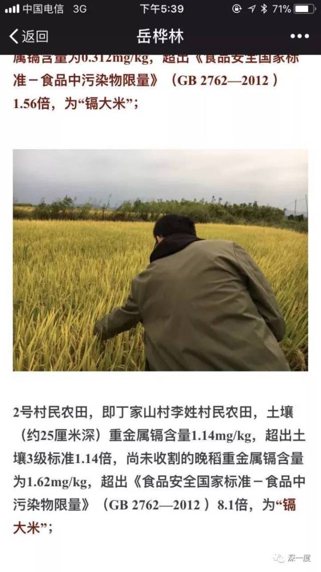 九江粮油市场的最新发展动态