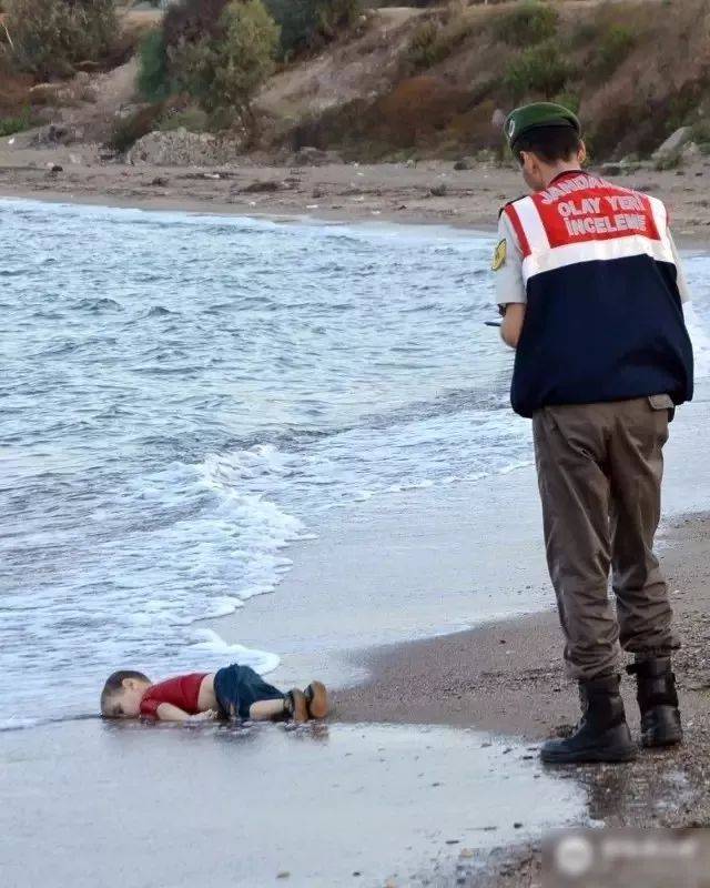 叙利亚沙滩小孩图片