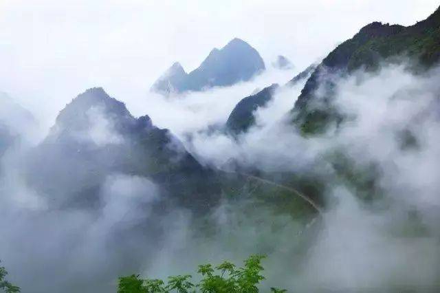 勉县云雾山探秋意境十足