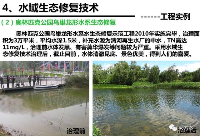 生态修复案例
