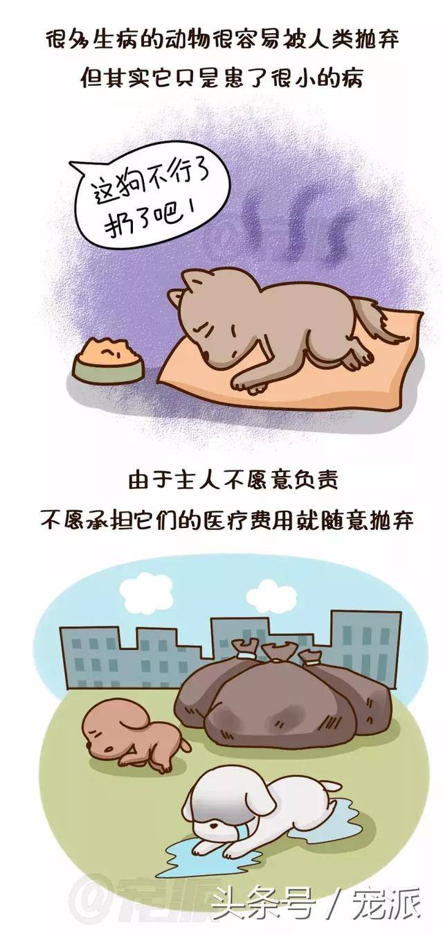 漫画丨狗狗瘫痪被抛弃,主人竟说:那我还养它干嘛!