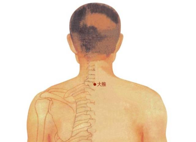颈第七椎的准确位置图图片