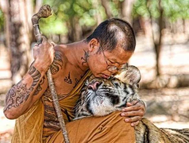 僧侣的祝福:佛教法力sak yant纹身