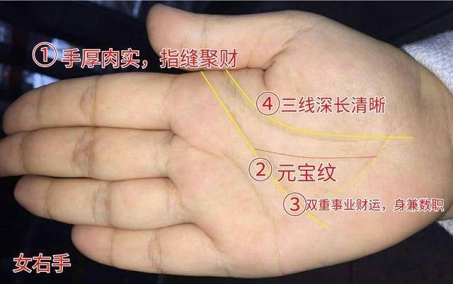 一个人财运好不好,大财还是小财,看手相此线,通过此线便可知