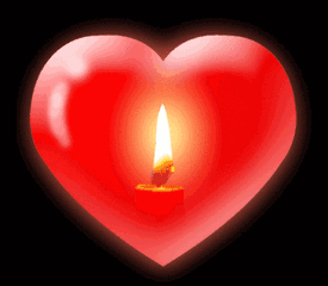 275_240gif 动态图 动图