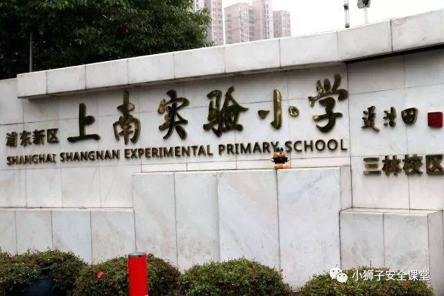 狮游记之浦东新区上南实验小学篇