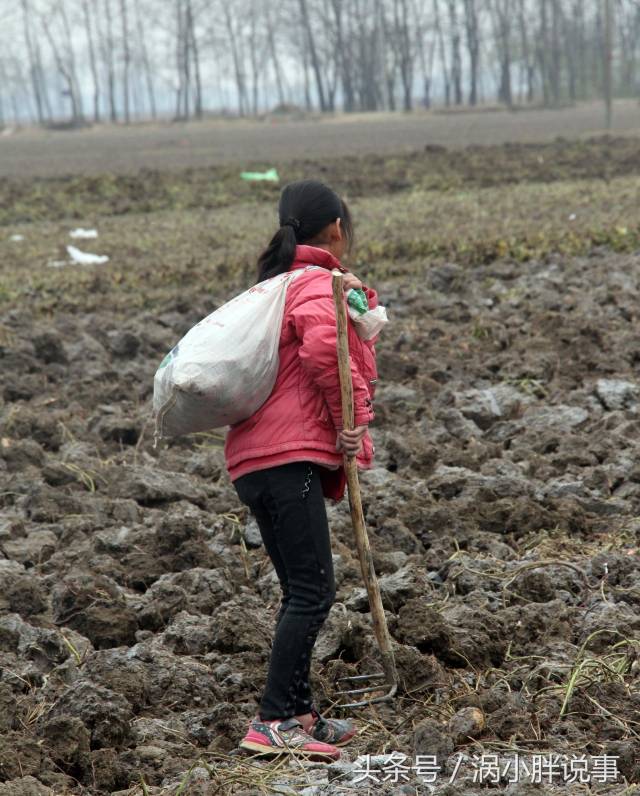 真懂事!农村小孩周末帮家人干活,拔地,背袋子样样熟练