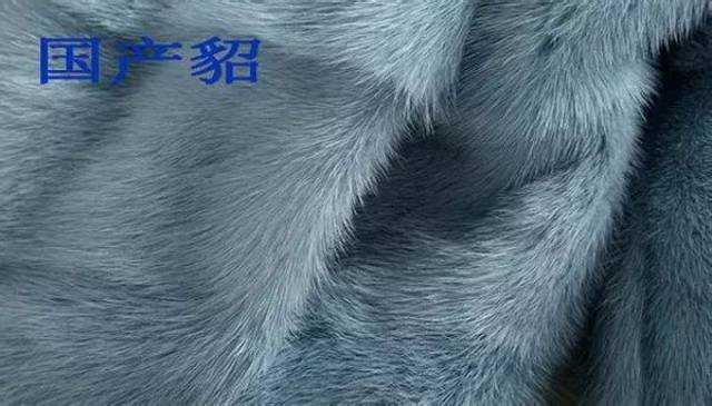 貂皮等级的区分