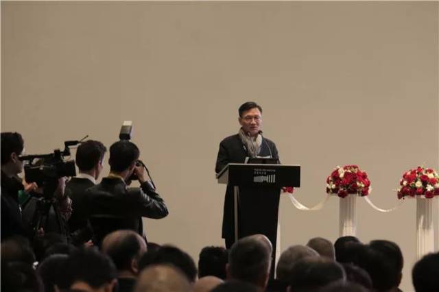 宝龙美术馆馆长李晓峰发言