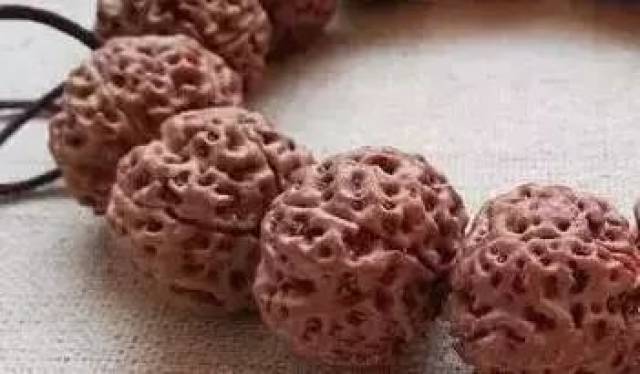 文玩堂：金刚菩提（爆肉五星深沟双龙） O1CN0190zNYM1pX3Y5CeDCZ_!!