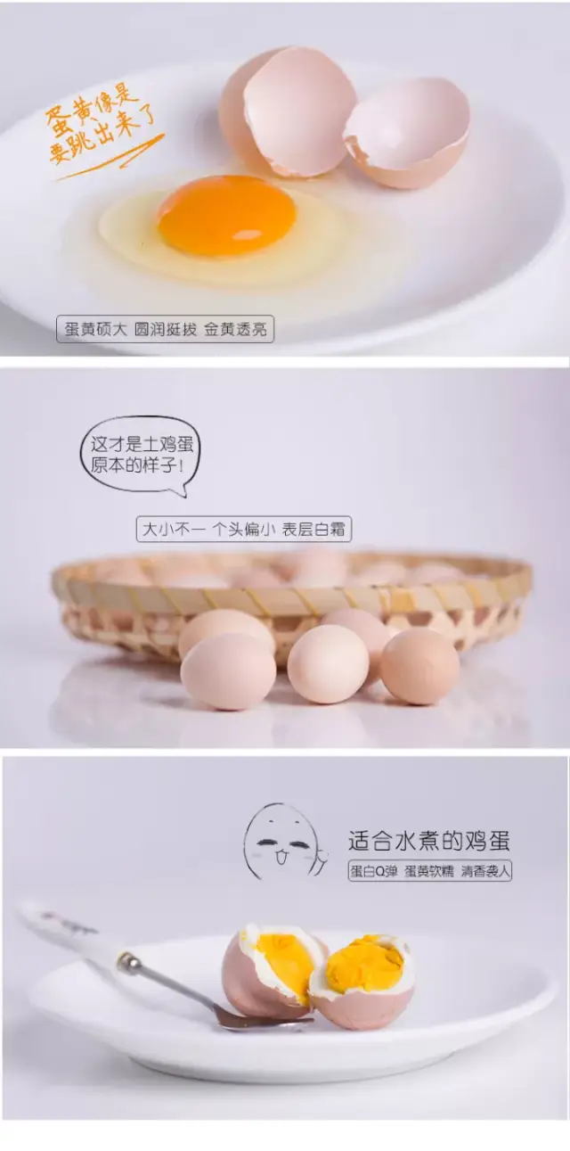 农资供应链：推动农业现代化的新引擎