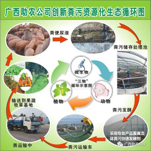 畜禽养殖粪污处理：绿色转型的必经之路