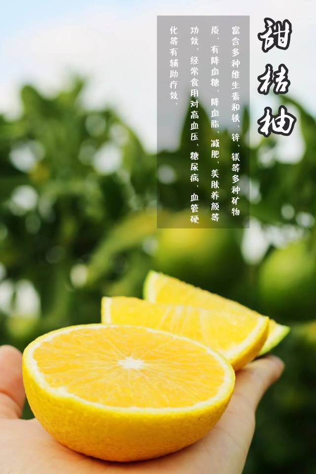 金蜜果甜橘柚