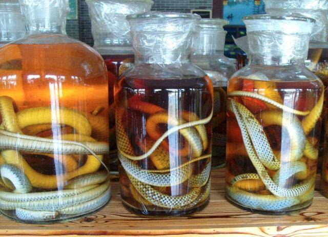 三蛇酒 广州三蛇酒名扬中外不仅是因为药性，还因为