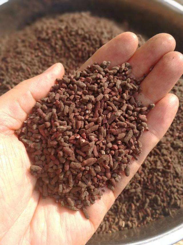 红粬沥干水备用.