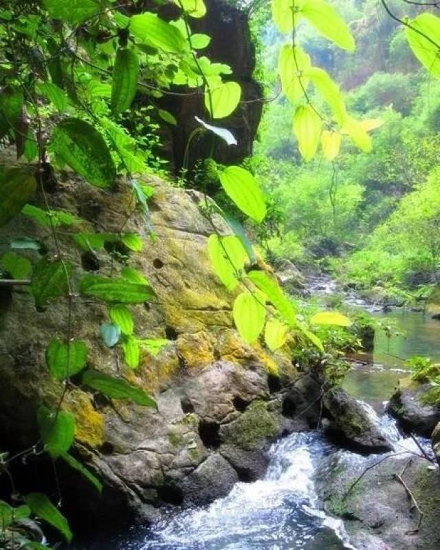 【潮玩】苗王谷旅游风景区,地上与地下的接缝!