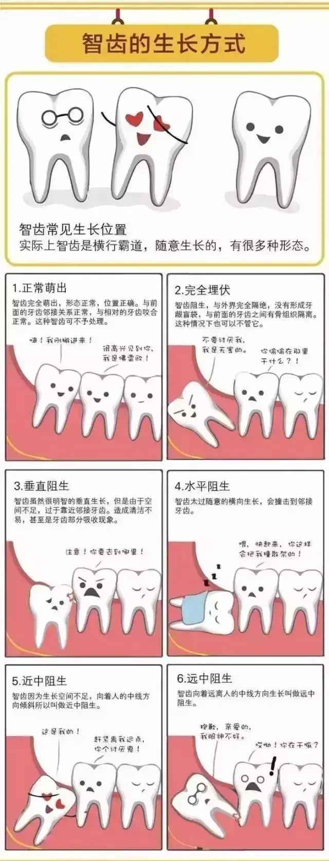 长智齿一定要拔吗图片