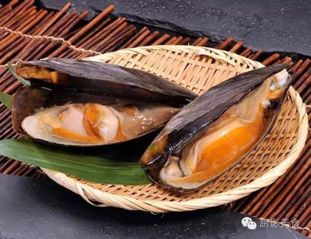 贝壳极大,一般长达30厘米,壳呈直角三角形.壳顶尖细,位于壳之最前端.