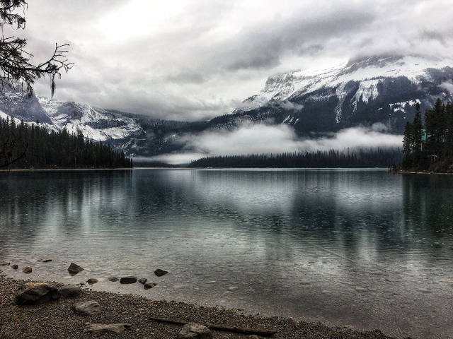 美图分享丨手机摄影作品欣赏(212)