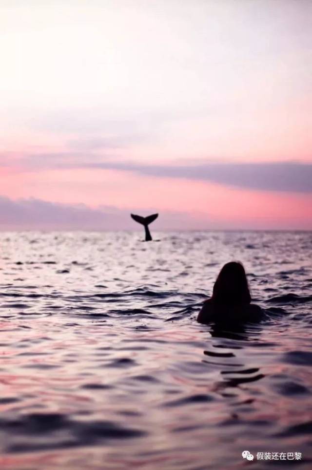 【拾言】宁缺毋滥未必得偿所愿,但饥不择食必