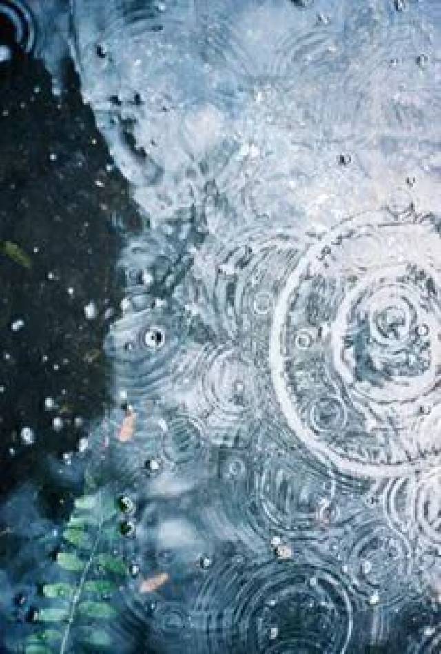 瑜伽静心音乐 | 在自然之声中感受生命