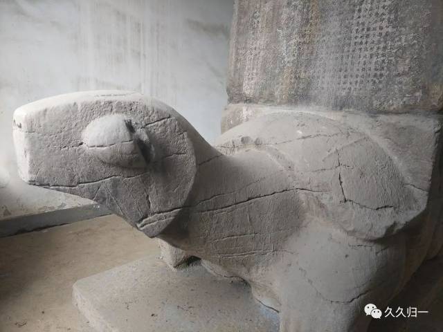 【走遍南京】在南京怎么能不去看看它们