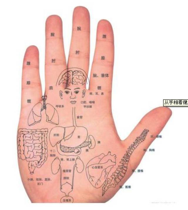 通过手掌就能看出一个人的身体健康状况?