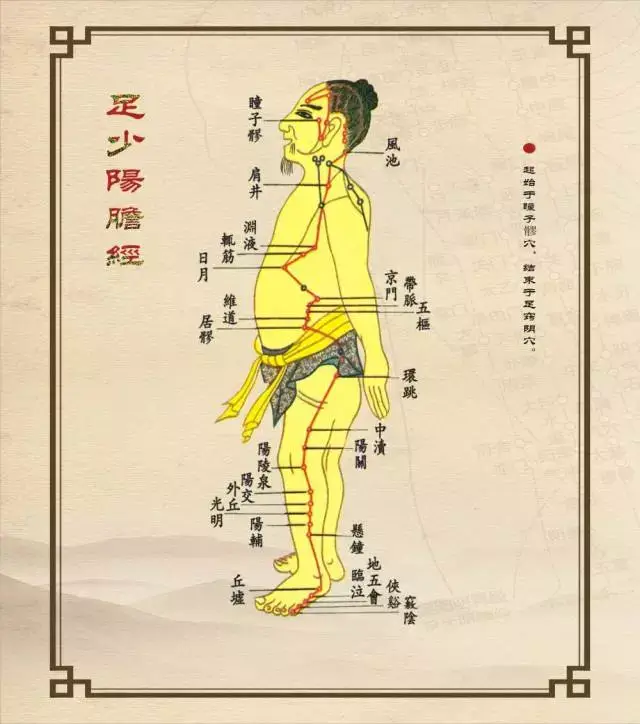 凡十一脏取决于胆也敲胆经生阳气补气血扶正气