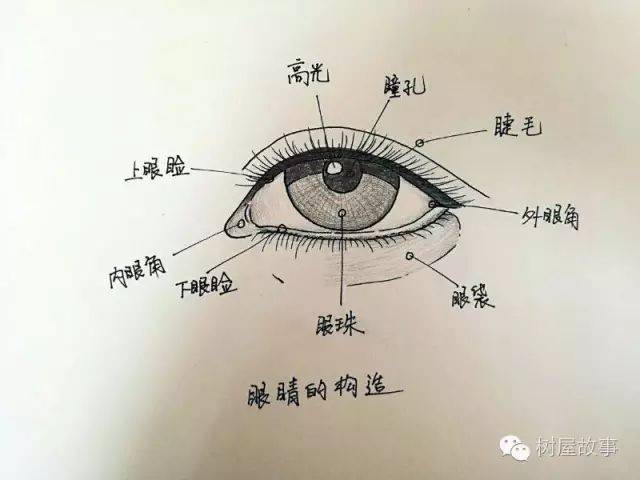 试听课9 :卡通人物五官表情画法——鼻子