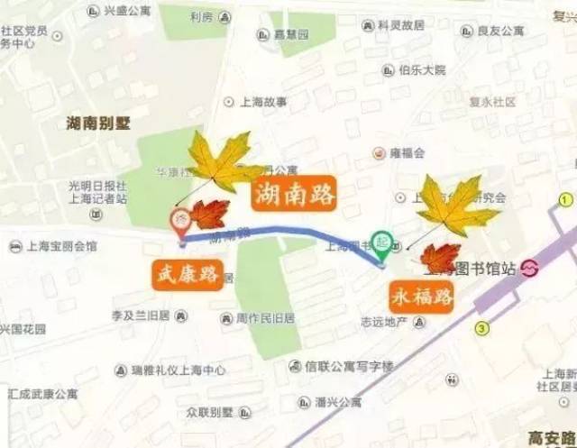 衡复汇荐 漫步衡复街区 风貌区2017落叶不扫最全赏秋攻略_手机