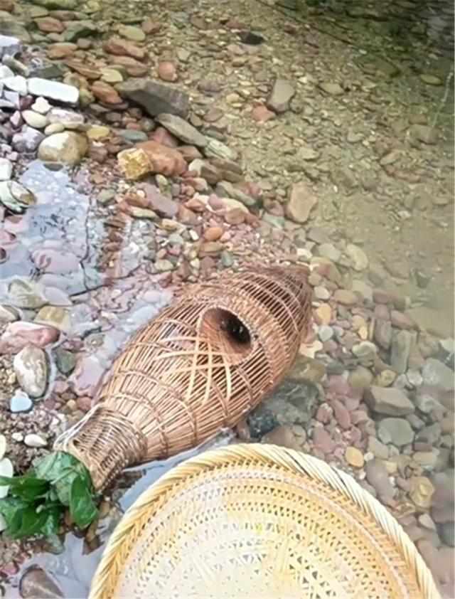 自制河里的捕大鱼鱼笼图片
