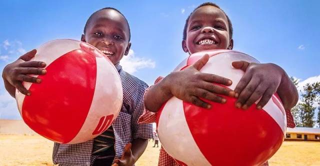 刺猬国际志愿者-五大洲刺猬体验