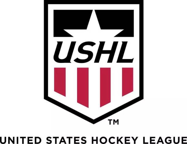 理性判断孩子的冰球实力,美国家长需要知道这些 | ncaa大学冰球(下篇)