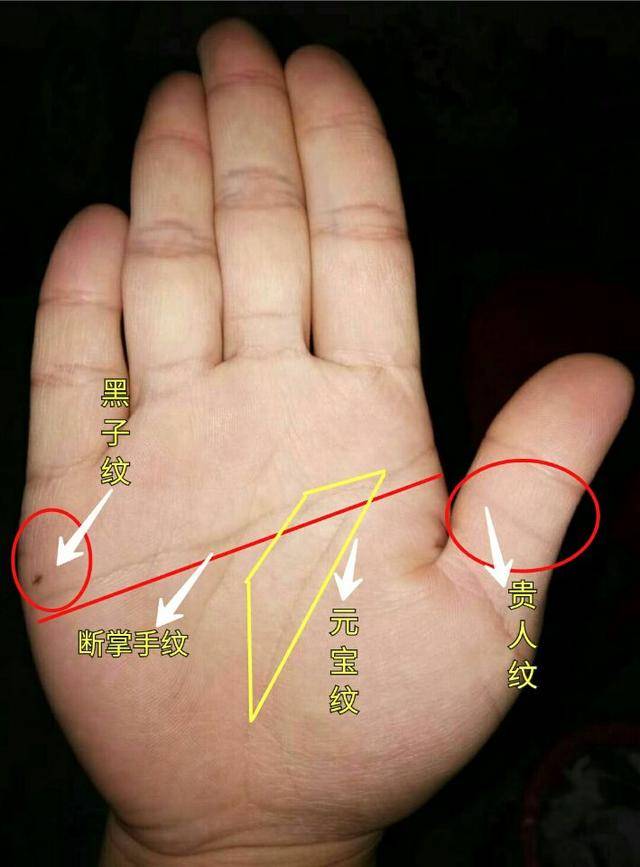 手相掌紋擁有這幾個特徵之一即可衣食無憂