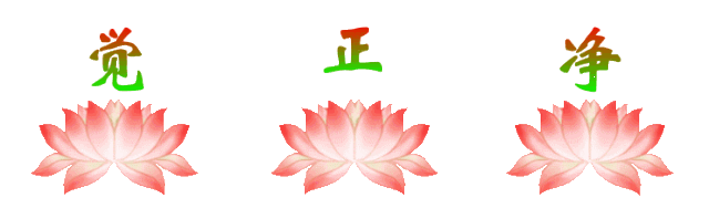 慈悲善良的您,请为这些可怜的孩子供一盏佛灯,帮助贫困山区孩子祈福!
