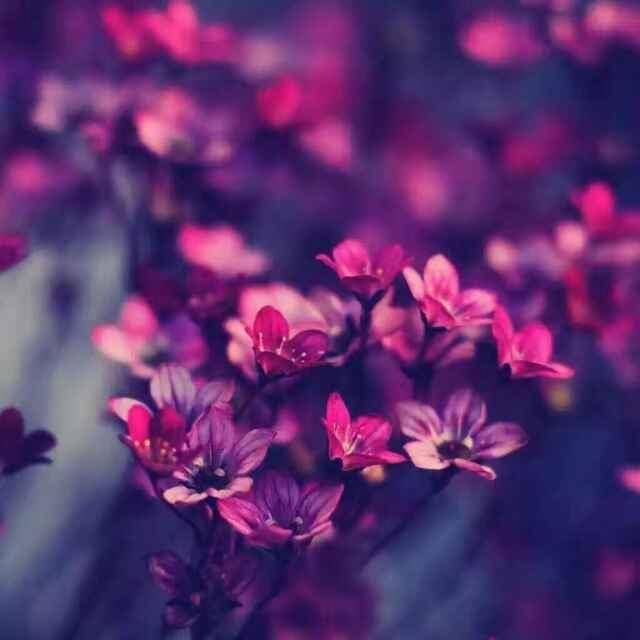 酒逢知己饮,诗向会人吟