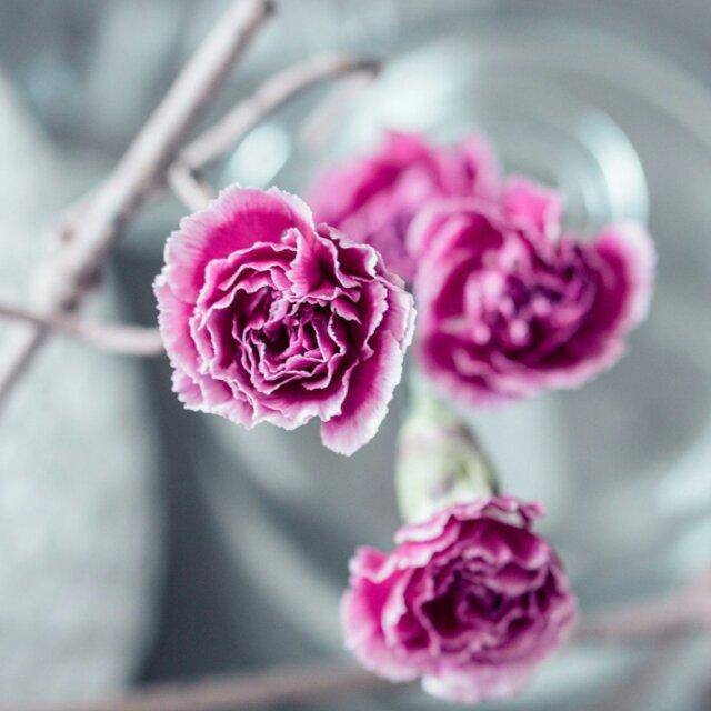 酒逢知己饮,诗向会人吟