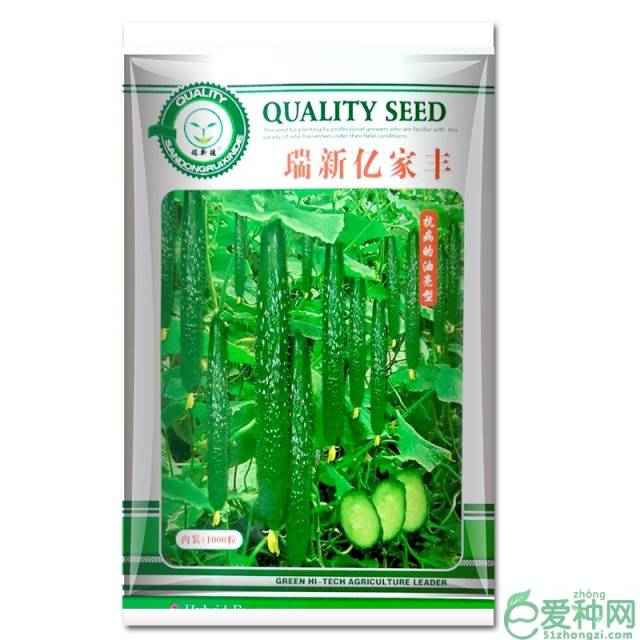 黄瓜种子行业趋势解析