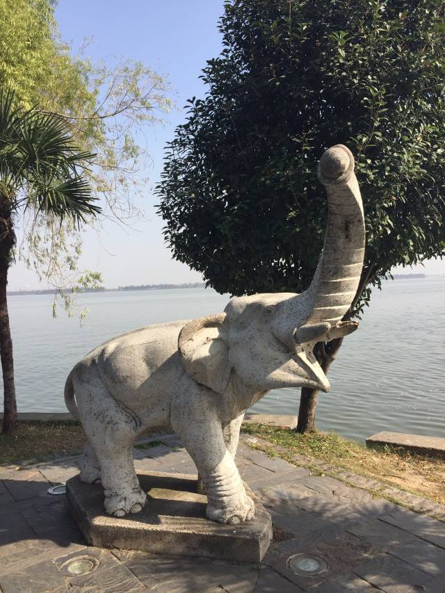 你还记得东湖畔那三只可爱的白象吗?晒出你的珍贵合影,有奖品哦