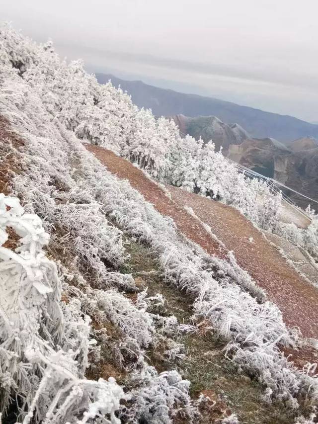 会泽大海草山冬天风景图片