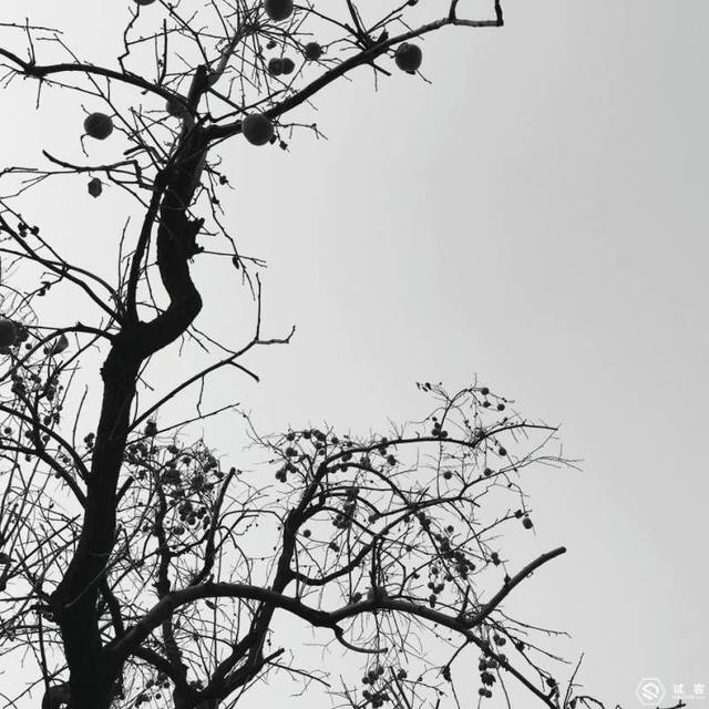 佳能EOS 80D 销量这么高!有全幅还要残幅?